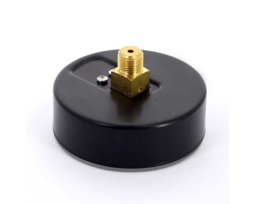 Манометр аксиальный F+R100 WATTS Ind 1/4" 80 мм 6 бар