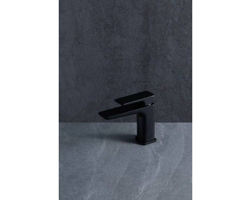 Allen Brau Infinity Смеситель для раковины, цвет: черный матовый 5.21001-31