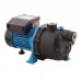 Насосная станция Pumpman TGPB125I с электронным управлением