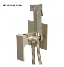 Гигиенический душ со смесителем Remer Absolute, сталь