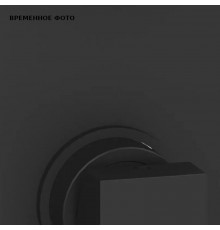 Смеситель для душа Remer Absolute, СМ, чёрный матовый
