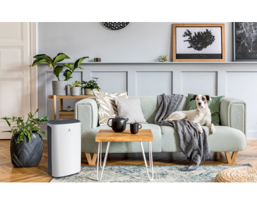 Осушитель воздуха серии CARISMA Loft RD-CR16-E