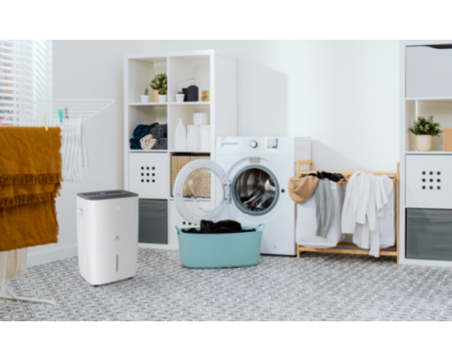 Осушитель воздуха серии CARISMA Villa RD-CR30-E