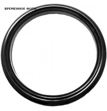 Кольцо резиновое D 160 (один лепесток) MDS