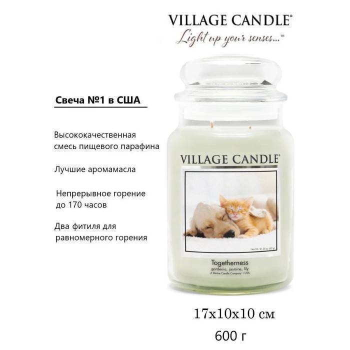 Ароматическая свеча Village Candle Togetherness Единение 602 г 10221