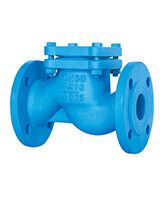 Клапан обратный подъемный Tecofi фланцевый DN25 PN16 чугун CS32400025