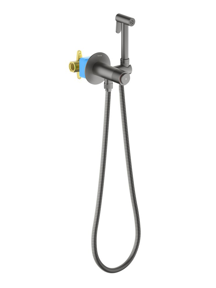 Комплект для гигиенического душа встроенный Aquatek Бетта Select оружейная сталь AQ1023BGM