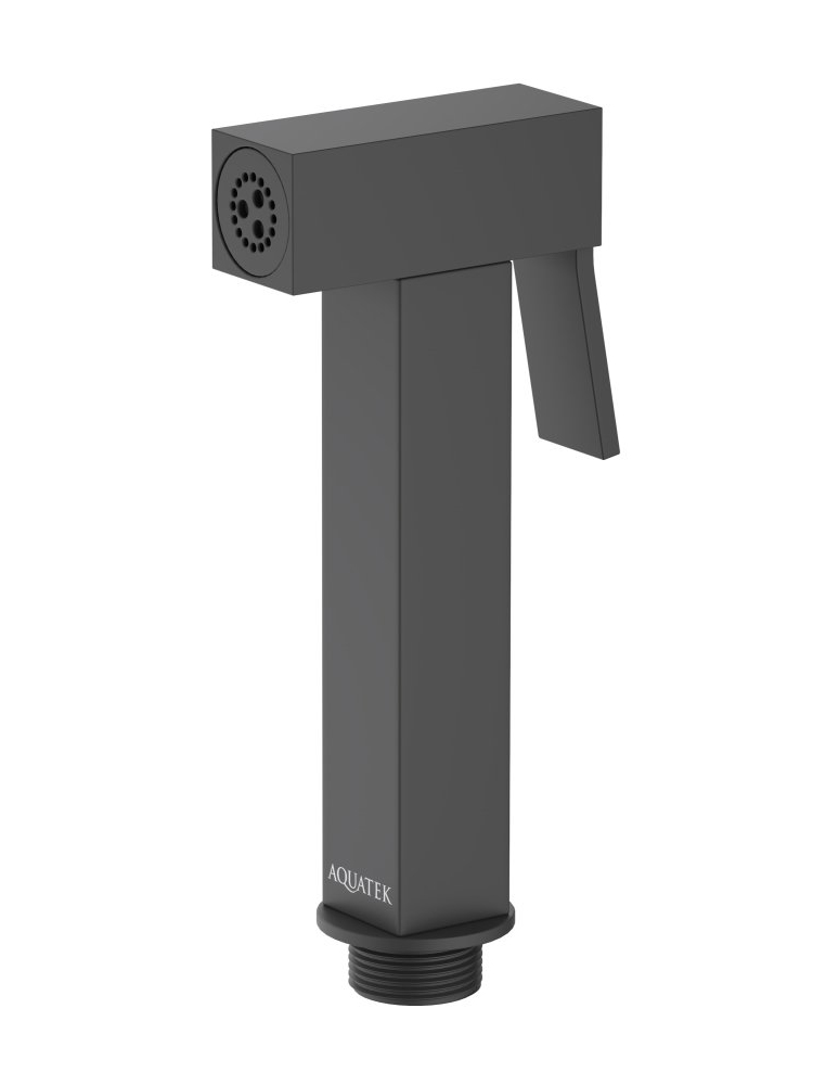 Гигиеническая лейка Aquanet матовый черный AQ2058MB