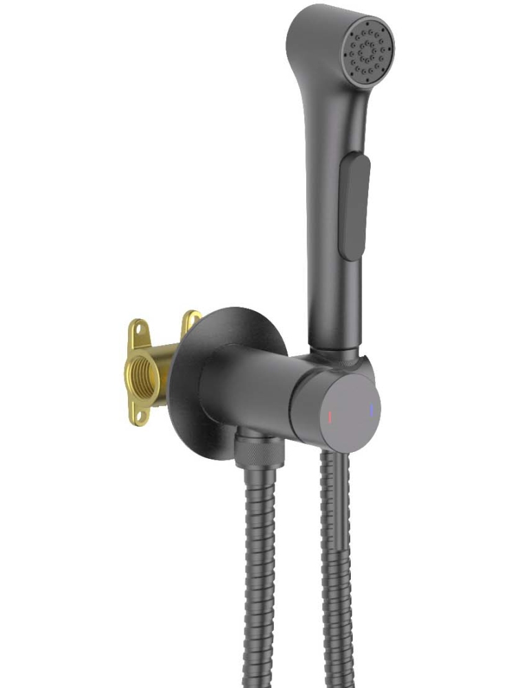 Комплект для гигиенического душа встроенный Aquatek Европа оружейная сталь AQ1020BGM