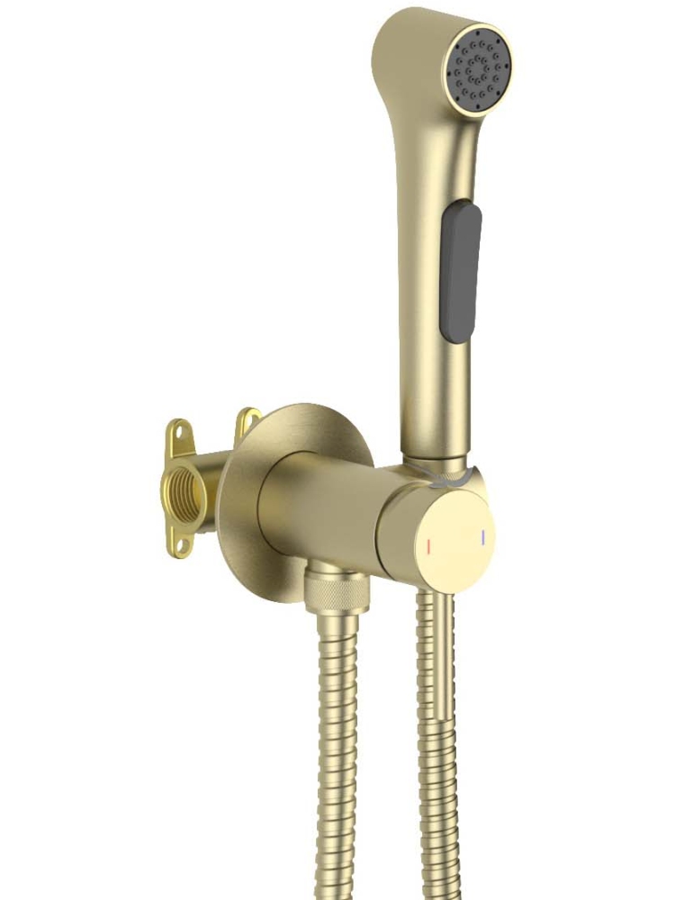 Комплект для гигиенического душа встроенный Aquatek Европа шлифованное золото AQ1020BG