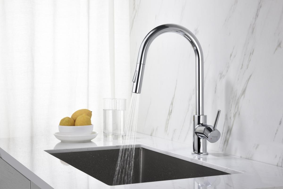 Смеситель для кухни Aquanet Европа с вытяжным изливом 2 jet хром AQ1384CR