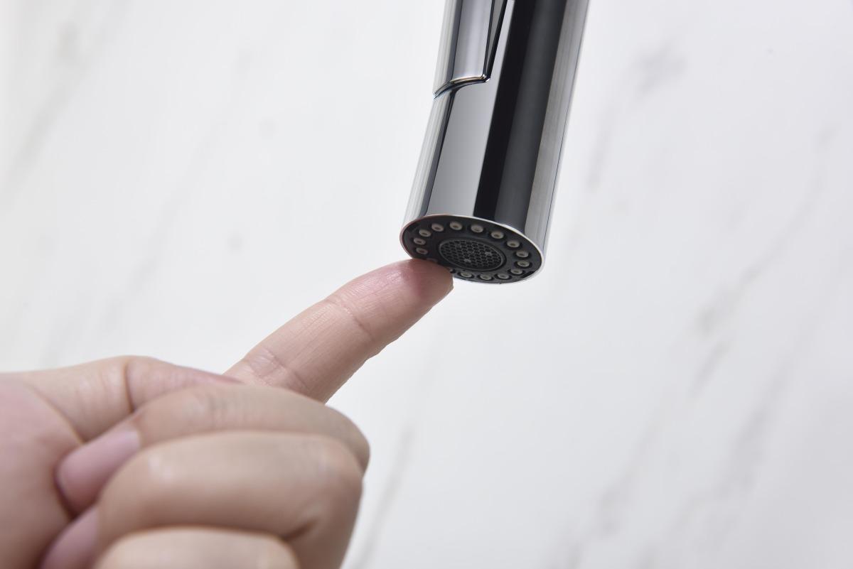 Смеситель для кухни Aquanet Европа с вытяжным изливом 2 jet хром AQ1384CR