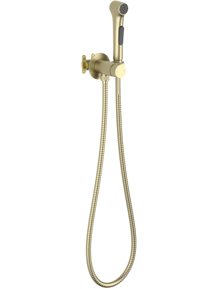 Комплект для гигиенического душа встроенный Aquatek Европа шлифованное золото AQ1020BG