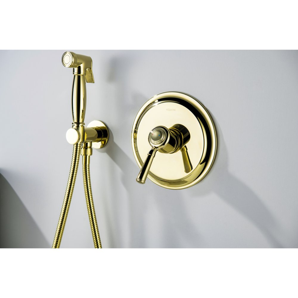 Смеситель для душа Aquanet Классик встраиваемый 1 режим (внешняя и скрытая часть) полированное золото AQ1566PG