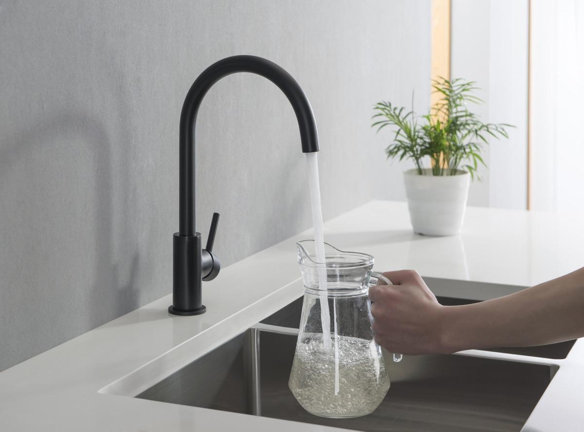 Смеситель для кухни Aquanet Европа матовый черный AQ1382MB