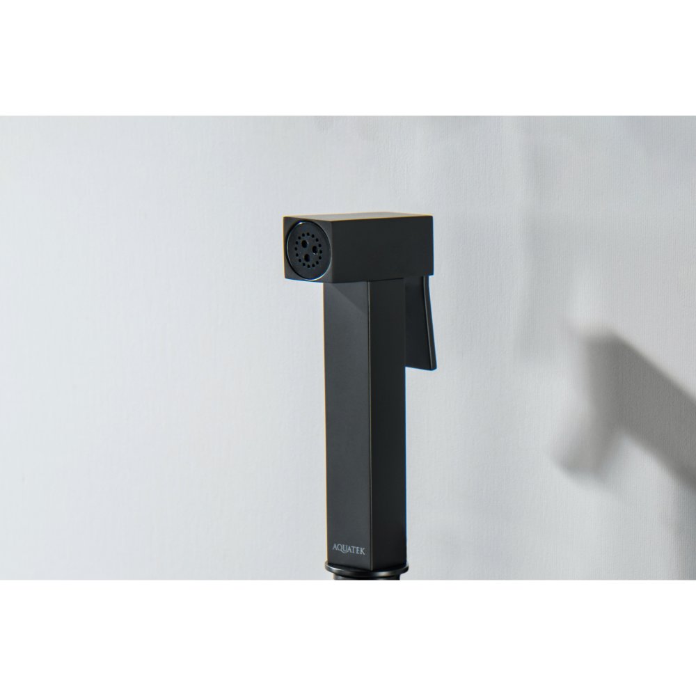 Гигиеническая лейка Aquanet матовый черный AQ2058MB