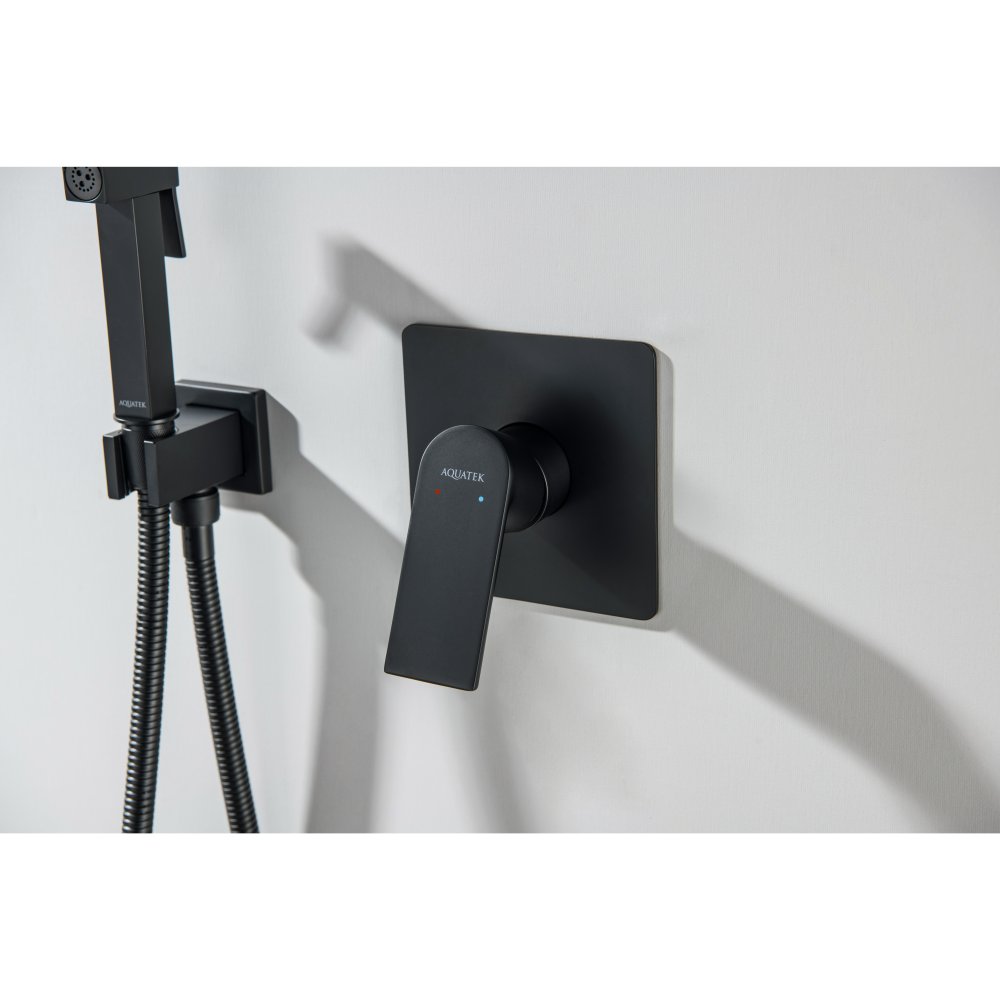 Набор с гигиеническим душем Aquanet Либра (смеситель, лейка, шланг, держатель) матовый черный AQ1619MB