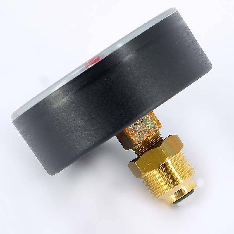 Термоманометр аксиальный Watts F+R818 10 бар 1/2 10009465