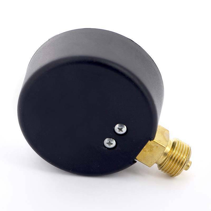 Манометр радиальный Watts F+R201 63 мм 3/8 4 бар с указателем предела 10007736