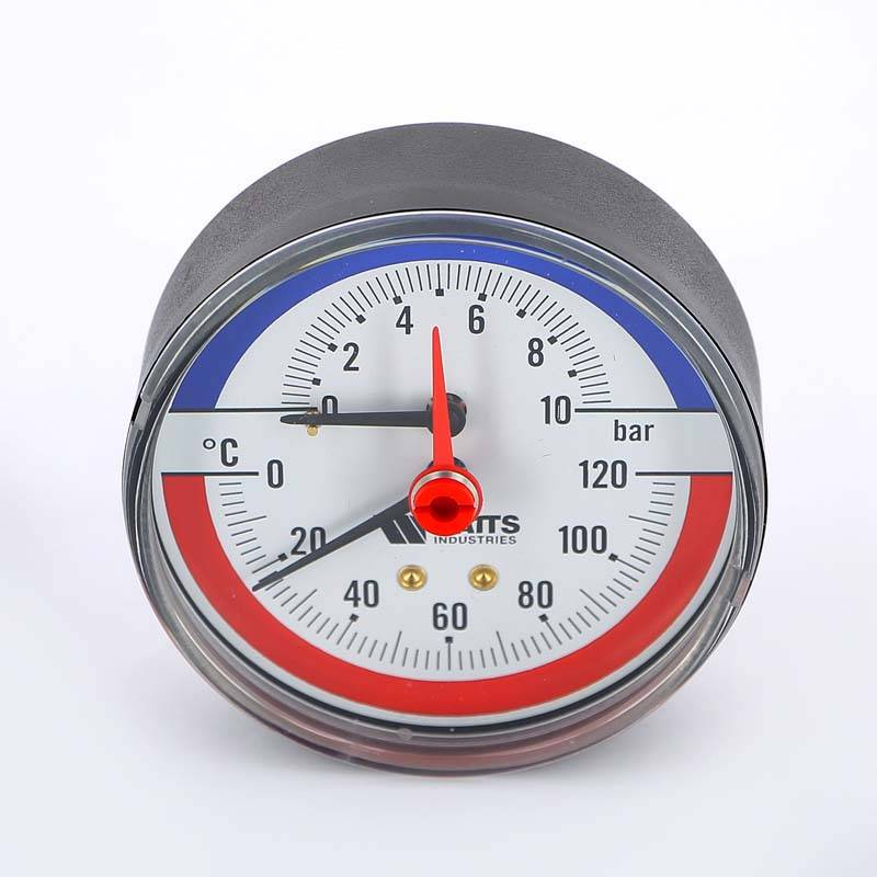 Термоманометр аксиальный Watts F+R818 10 бар 1/2 10009465