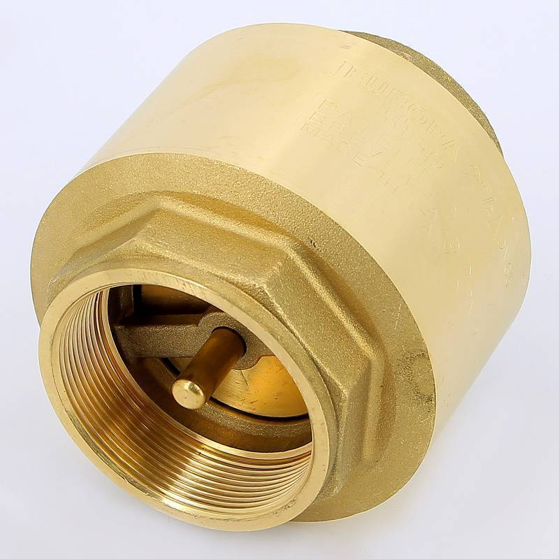 Клапан обратный пружинный ITAP EUROPA 100 2 1/2 с металлическим затвором 1000212