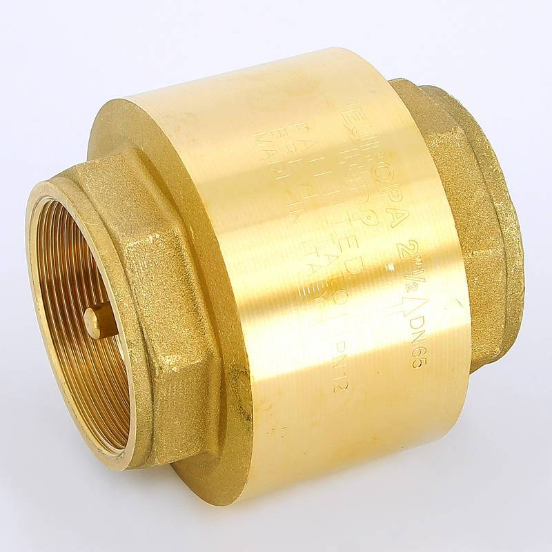 Клапан обратный пружинный ITAP EUROPA 100 2 1/2 с металлическим затвором 1000212