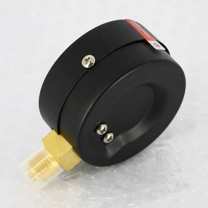 Манометр Росма ТМ-310P.00 63 мм 0-6 бар G1/4 радиальный кл.2.5 00000006771