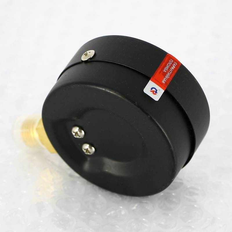 Манометр Росма ТМ-310P.00 63 мм 0-6 бар G1/4 радиальный кл.2.5 00000006771