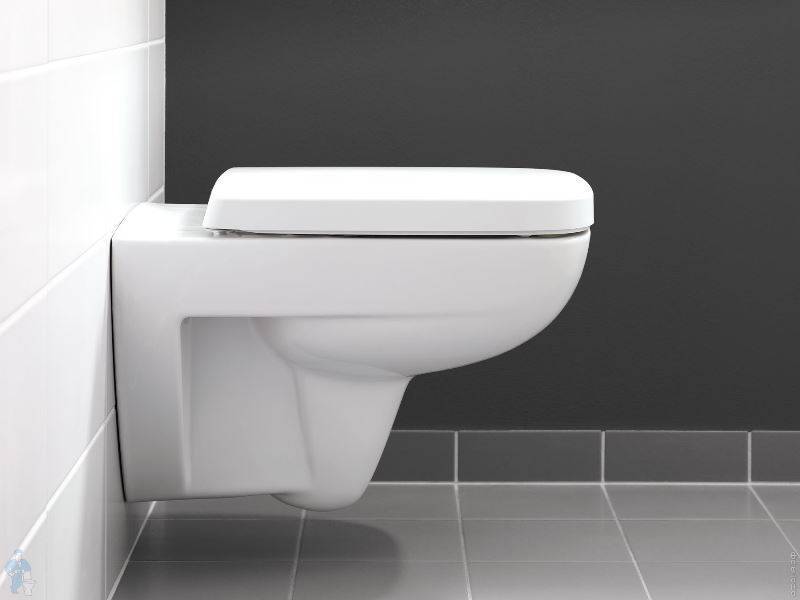 Сиденье для унитаза Geberit Renova Plan металлические петли 573085000