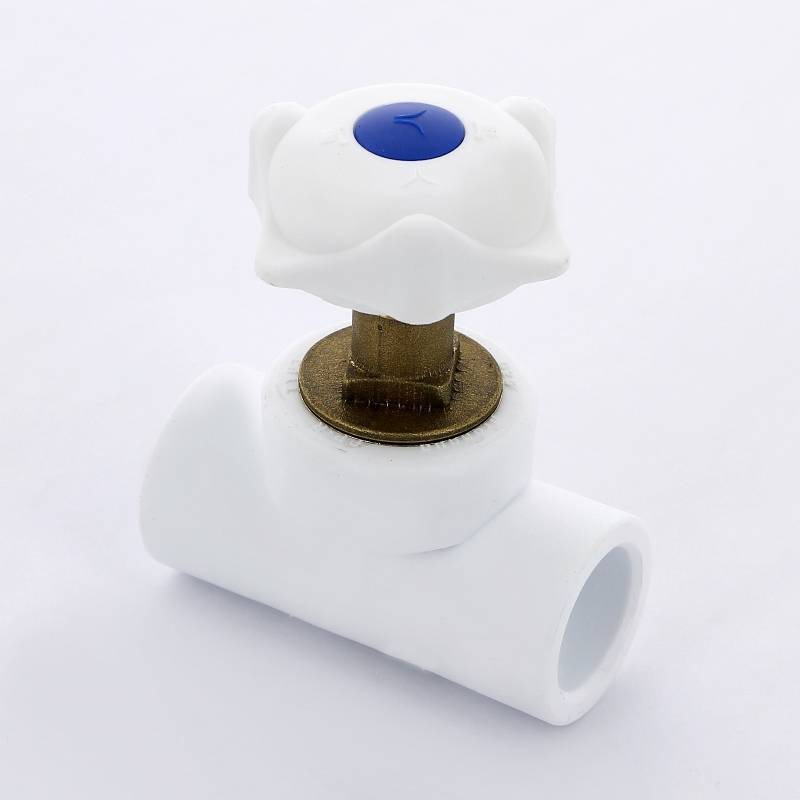 Вентиль полипропиленовый Pro Aqua 25 мм PA42011