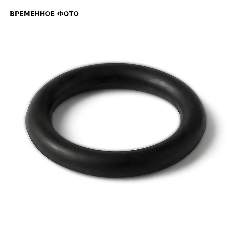 Кольцо уплотнительное для американки PRO AQUA 25 мм PA20910