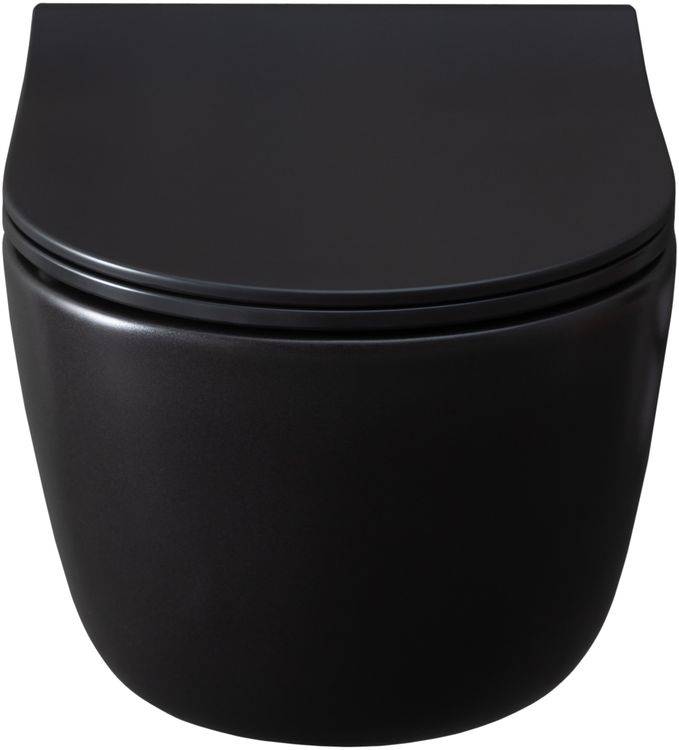 Чаша подвесного унитаза Allen Brau Priority 36х49х33 см черный 4.31002.31