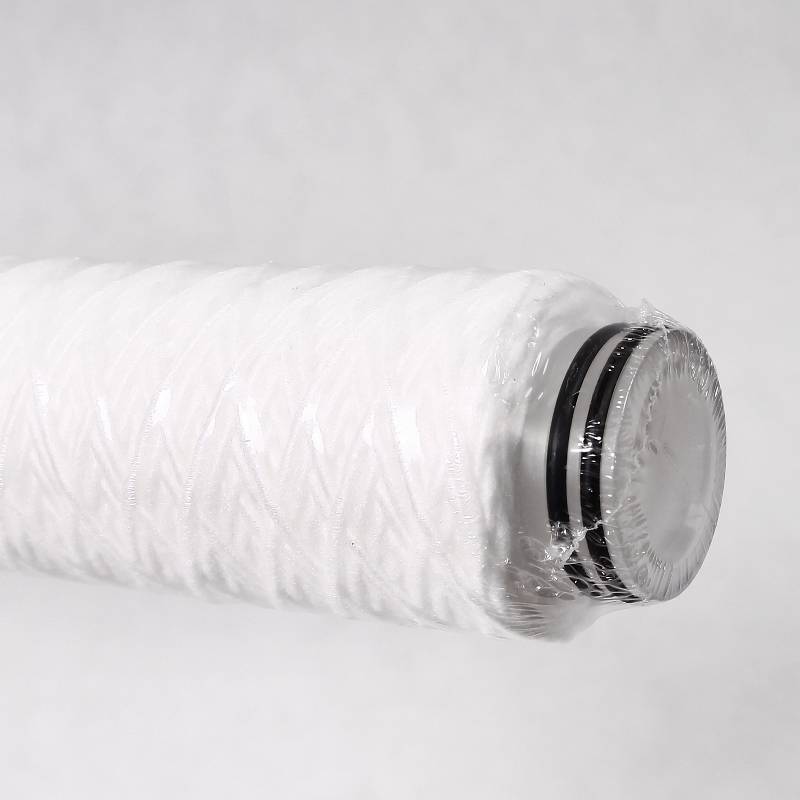 Картридж из полипропиленовой нити Atlas Filtri FA 10 BX 25 мкм RA5115211