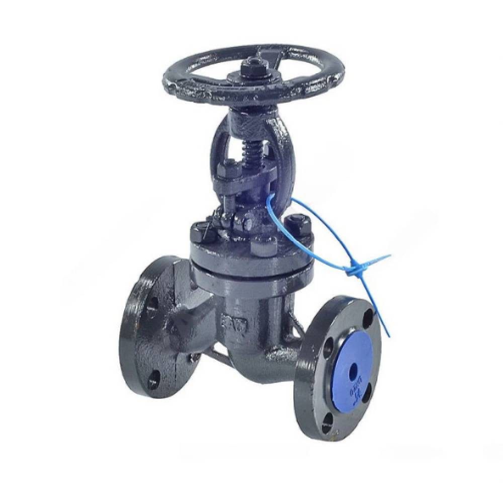 Клапан запорный стальной фланцевый HJCN 15с65нж Ду 25 Ру16