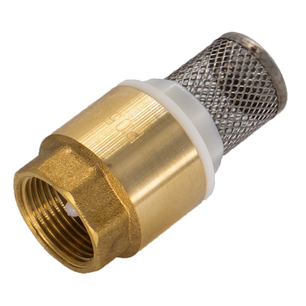 Клапан обратный СТМ с сеткой 1 CBCVF001