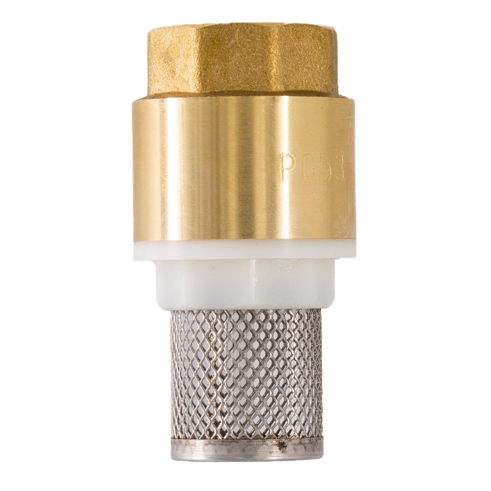 Клапан обратный СТМ с сеткой 1 CBCVF001