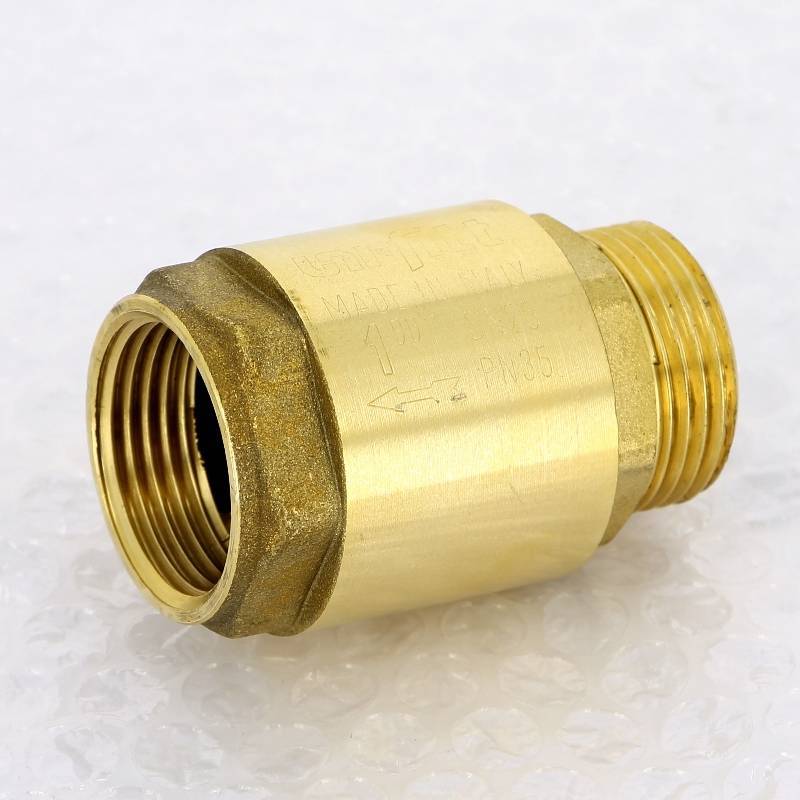 Клапан обратный пружинный Uni-Fitt серия 224 с металлическим затвором 1 НВ 224G4000