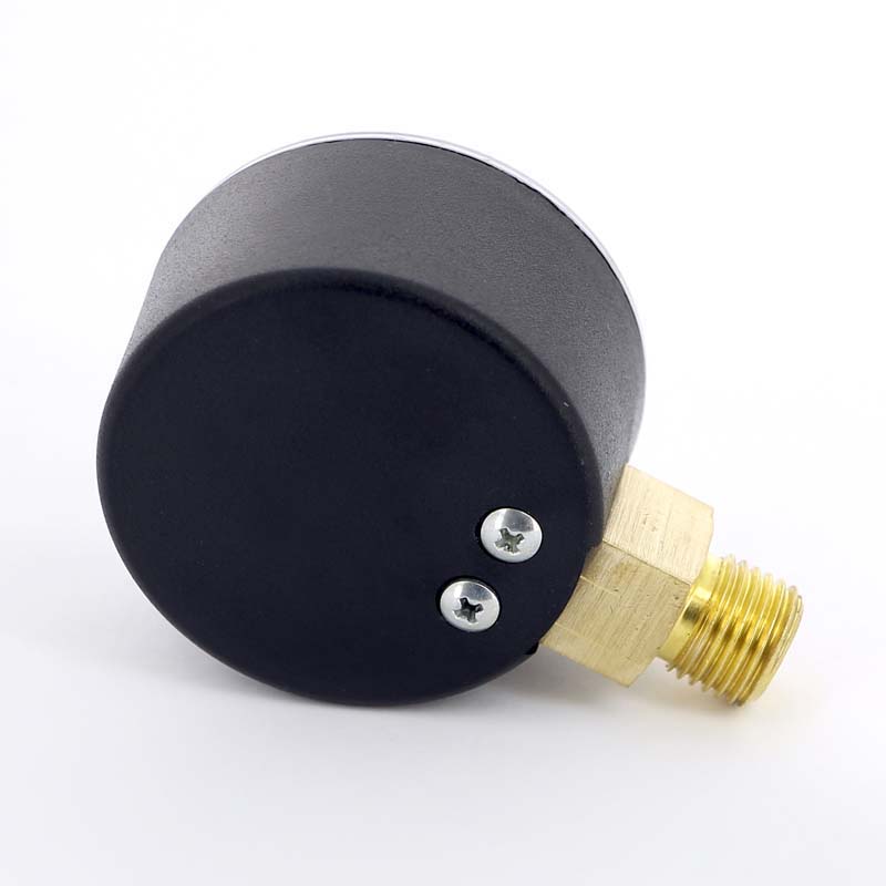 Манометр радиальный Watts F+R200 50 мм 1/4 10 бар 10007380