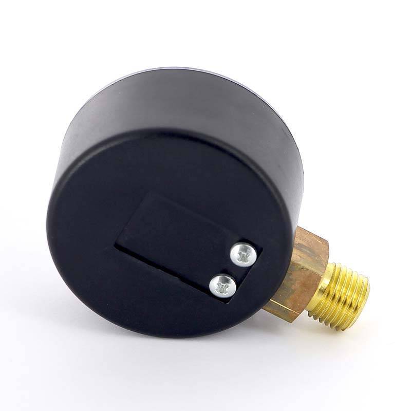 Манометр радиальный Watts F+R200 63 мм 1/4 16 бар 10007725