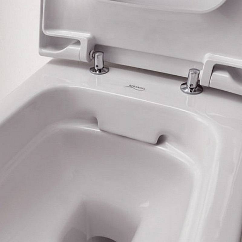 Унитаз подвесной Geberit Renova Plan Rimfree безободковый 54х35 см 500.378.01.1