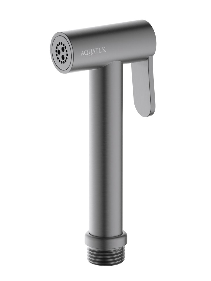 Гигиеническая лейка Aquanet оружейная сталь AQ2057BGM