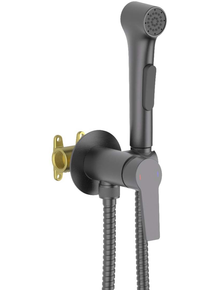 Комплект для гигиенического душа Aquanet Лугано встроенный (смеситель + лейка + шланг) оружейная сталь AQ1719BGM