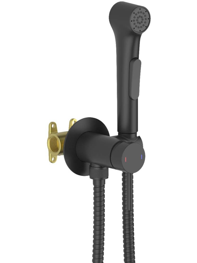 Комплект для гигиенического душа встроенный Aquatek Европа матовый черный AQ1020MB