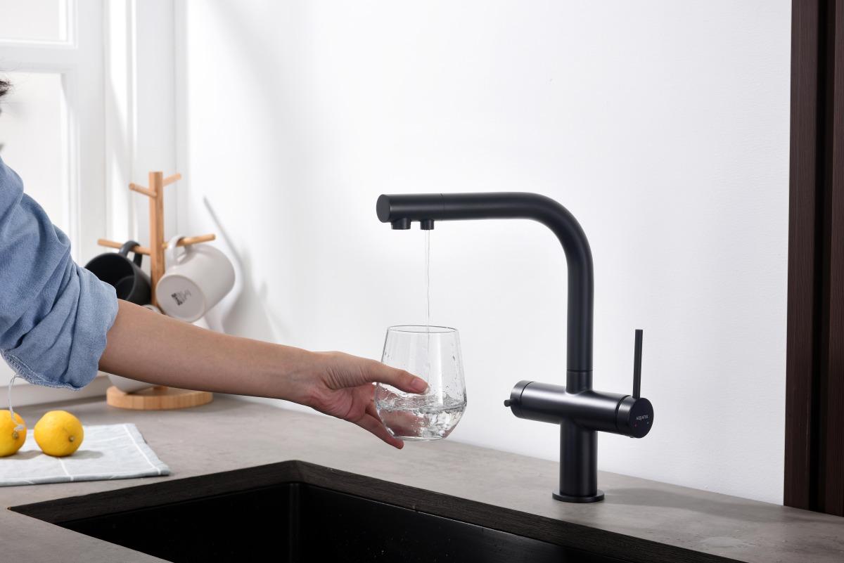 Смеситель для кухни Aquanet Европа под фильтр матовый черный AQ1385MB