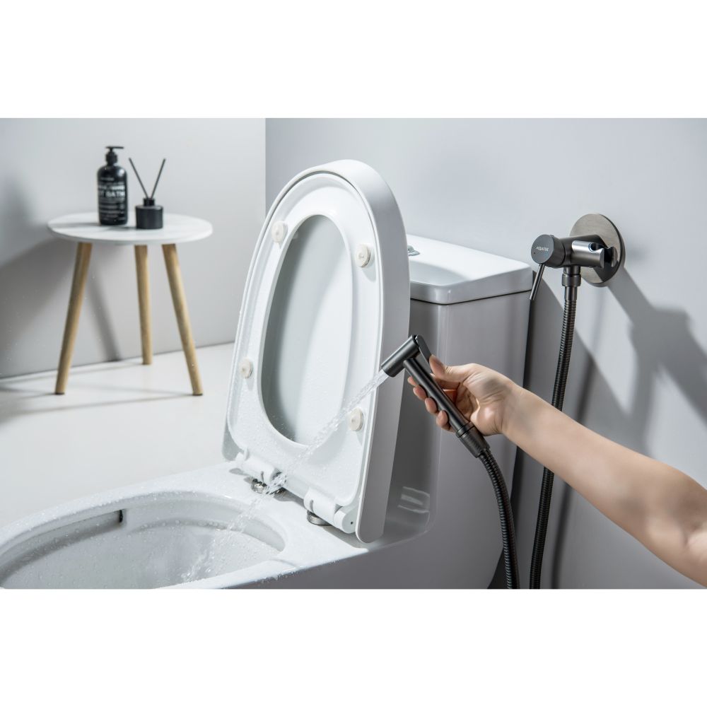 Комплект для гигиенического душа встроенный Aquatek Европа оружейная сталь AQ1021BGM