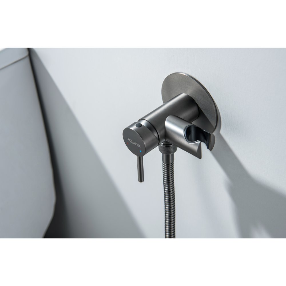 Комплект для гигиенического душа встроенный Aquatek Европа оружейная сталь AQ1021BGM