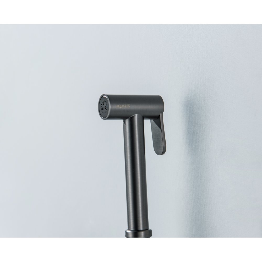 Комплект для гигиенического душа встроенный Aquatek Европа оружейная сталь AQ1021BGM