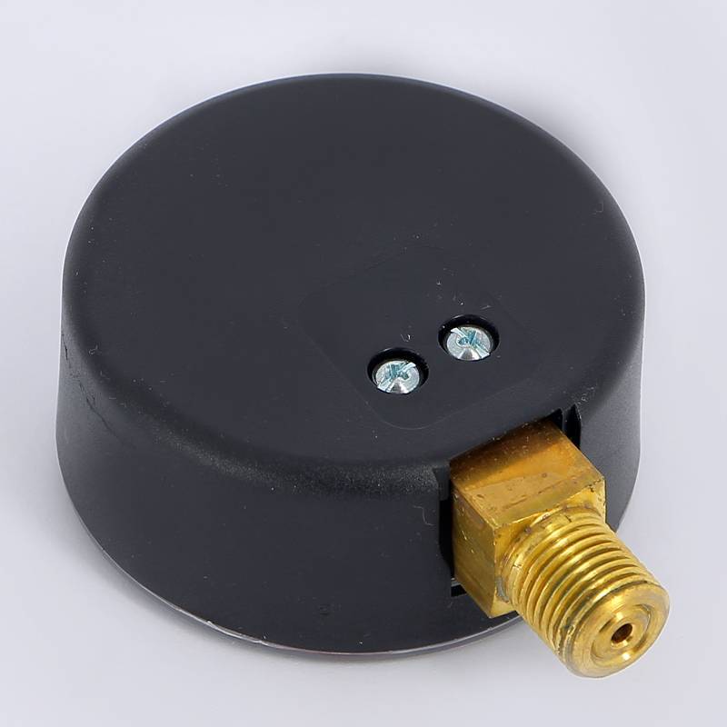 Манометр радиальный Emmeti 1/8 25 бар 50 мм 00612444