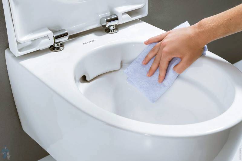 Сиденье для унитаза Geberit iCon SoftClose металлические петли 574130000