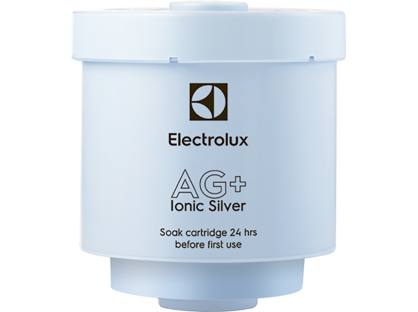 Фильтр-картридж Electrolux AG+ Ionic Silver 7531